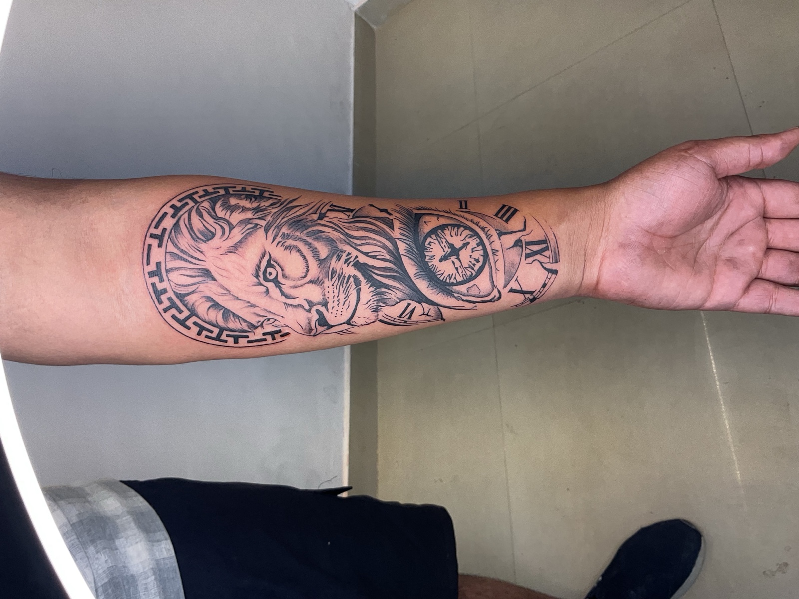 Lion, Greek Key & Chronometer